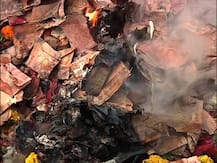 Kalighat Burned Notes: কালীঘাটে মুখার্জী ঘাটে রাশি-রাশি ছেঁড়া-পোড়া টাকা, কুড়োতে ভিড়, কে বা কারা ফেলে গেল? তদন্তে পুলিশ