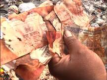 Kalighat Burned Notes: কালীঘাটে মুখার্জী ঘাটে রাশি-রাশি ছেঁড়া-পোড়া টাকা, কুড়োতে ভিড়, কে বা কারা ফেলে গেল? তদন্তে পুলিশ