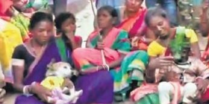 Mayurbhanj: Odisha Tribal Community Marries Two Children to Dog for removing Evil Spirits Odisha Tribal Community: তাড়াতাড়ি উঠেছে দাঁত, অশুভ শক্তির প্রভাব! আতঙ্কে কুকুরের সঙ্গে ২ শিশুর বিয়ে দিলেন গ্রামবাসীরা