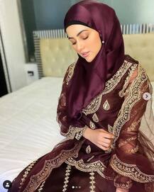 Sana Khan reaction:অতীত জীবনের কথা মনে করিয়ে খোঁচা এক ব্যক্তির, জবাব দিলেন সানা খান