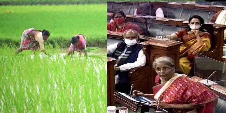 Union Budget 2021 FM Nirmala Sitharaman Speech for farmers and agricultural sector Budget 2021 Union Budget 2021: শস্য সংগ্রহে ১ লক্ষ ৭২ হাজার কোটি, কৃষি ঋণে বরাদ্দ বাড়ল নির্মলার বাজেটে