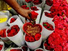 Valentine Calender Photos: প্রপোজ থেকে প্রেম, একনজরে