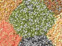 सणासुदीच्या काळात ग्राहकांना दिलासा, डाळींचे दर उतरले