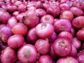 Govt Will Buy Onion From Godown गोदामांमधील कांदा सरकार बाजारभावानं खरेदी करणार