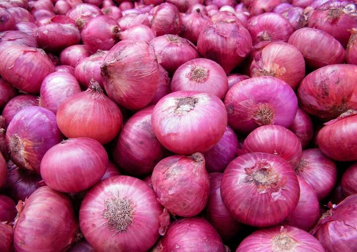 State Government To Start Distribute Of Subsidy To Onion Farmers कांदा उत्पादकांना अनुदान देण्यास राज्य सरकारला अखेर मुहूर्त