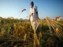 Income Tax Department To Pm Modi Lets Begin Taxing Agricultural Income शेतकऱ्यांच्या शेती उत्पन्नावर टॅक्स लागणार?