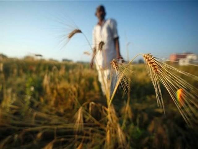 Blog By Rajendra Jadhav On Farming And Farmers Situation शेतकरी अधांतरी 