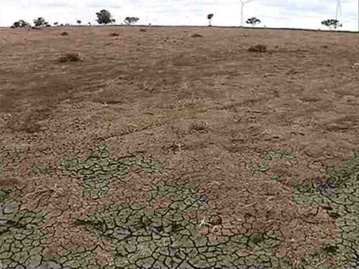 Maharashtra government declared drought in 8 taluka राज्यातील आठ तालुक्यात दुष्काळ जाहीर