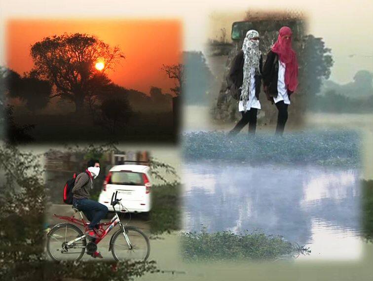 राज्यात थंडीचा कहर, मुंबई गारठली, नाशिकमध्ये द्राक्षांचं नुकसान Cold wave continues in state, Mumbai shivers at 13.6 degrees celsius राज्यात थंडीचा कहर, मुंबई गारठली, नाशिकमध्ये द्राक्षांचं नुकसान