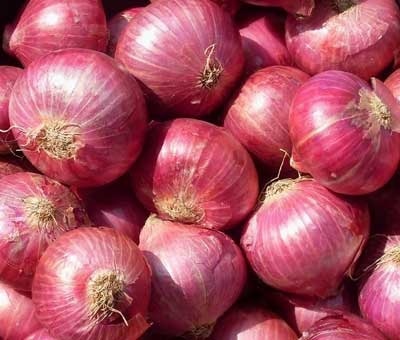 onion thief in manmad latest update मनमाडमध्ये शेतकऱ्याच्या कांद्यावर चोरट्यांचा डल्ला