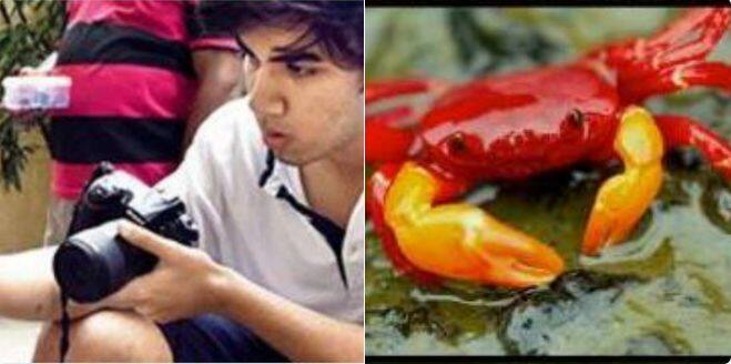 तेजस ठाकरेंनी शोधलेल्या खेकड्यांच्या प्रजातीवर अभ्यासाची परवानगी Permission To Research On Crabs Found By Tejas Thackeray तेजस ठाकरेंनी शोधलेल्या खेकड्यांच्या प्रजातीवर अभ्यासाची परवानगी