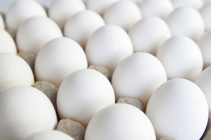 Increase in egg prices in Mumbai with the state latest update मुंबईसह राज्यात अंड्यांच्या किंमतीत वाढ