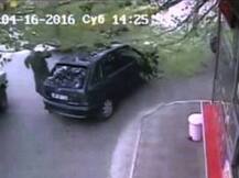 वादळामुळे झाड कारवर कोसळलं, गाडीचा चक्काचूर