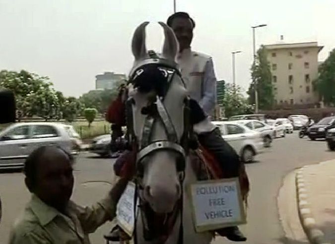 ...म्हणून खासदार थेट घोड्यावरून संसदेत