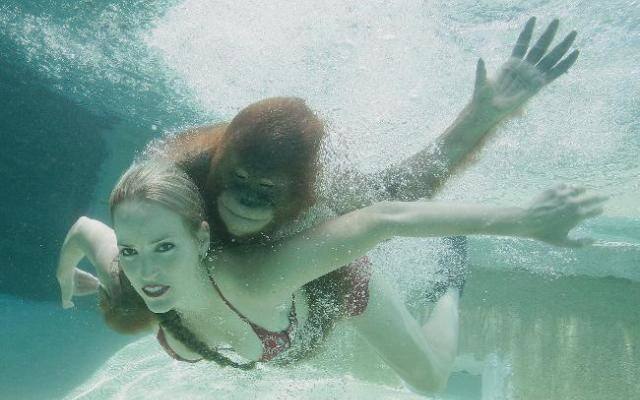 मोक्षाचे खास फोटो