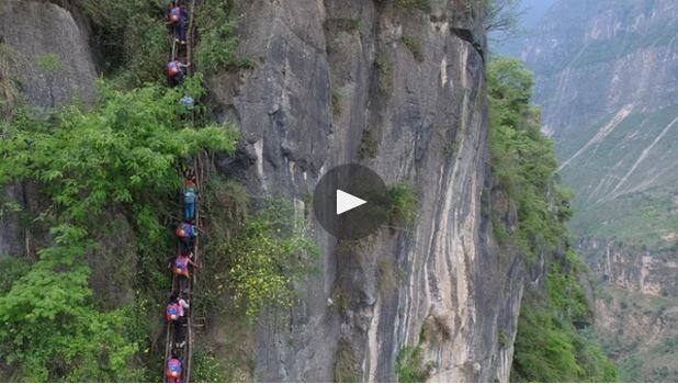  या गावातील मुलांची इच्छाशक्ती आणि त्यांचं धैर्य पाहून इथलं सरकारही अचंबित झालं आहे. 