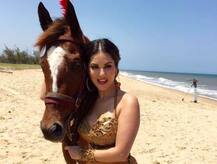 सनी लिऑन पुरुषांना शिकवणार मॅनर्स!