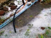 उस्मानाबादमध्ये वीज पडून एकाचा मृत्यू, राज्यभरात पावसाची हजेरी