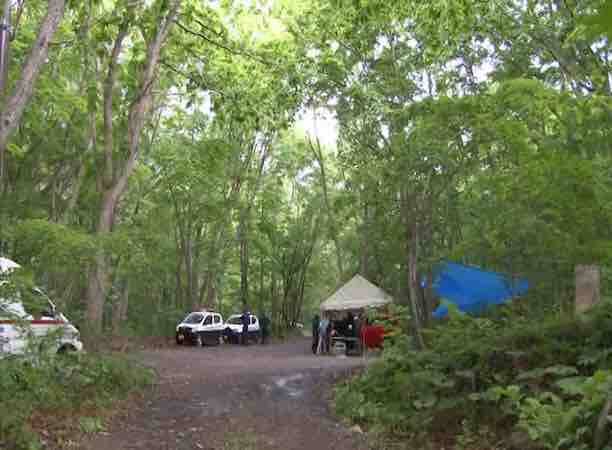 त्याच्या वडिलांनी त्याला जिथे सोडलं होतं, तिथून तब्बल चार किलोमीटर अंतरावर जंगलात असलेल्या सैन्य प्रशिक्षणाच्या छोट्या इमारतीजवळ सापडला. मुलाने खोड्या केल्या म्हणून वडिलांनी 28 मे रोजी त्याला जंगलात सोडून दिलं होतं. काही क्षणांपूर्वी मुलाला ज्या ठिकाणी सोडलं होतं, तिथे तो न सापडल्याने मात्र पालकांचे धाबे दणाणले. पालकांनी पोलिसात धाव घेत आपला लेक हरवल्याची तक्रार नोंदवली.