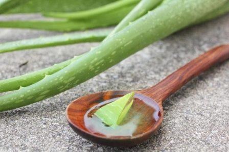 Kitchen Hacks How To Make Aloe Vera Gel At Home, Health Benefits And Good For Hair And Glowing Skin | Kitchen Hacks: घर पर बनाएं मार्केट जैसा एलोवेरा जेल, लंबे समय तक