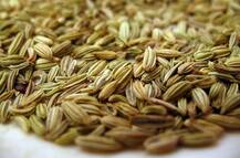 Jamnagar : હાપા માર્કેટિંગ યાર્ડમાં જીરાની હરાજી, 1 મણ જીરાનો બોલાયો રૂપિયા 4730નો રેકોર્ડબ્રેક ભાવ