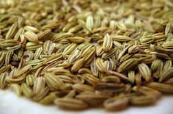 Jamnagar : હાપા માર્કેટિંગ યાર્ડમાં જીરાની હરાજી, 1 મણ જીરાનો બોલાયો રૂપિયા 4730નો રેકોર્ડબ્રેક ભાવ