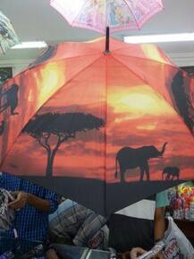 ब्लू टूथ छत्री, सेल्फी स्टिक छत्री, पाकिटात मावणारी छत्री, छत्र्यांच्या नाना तऱ्हा