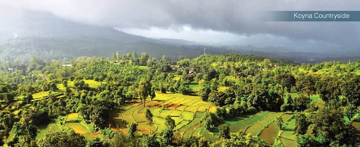 कोयना धरणावर विविध सिंचन, विद्युत प्रकल्प बांधलेले आहेत. पावसाळ्यात कोयना धरणाच्या सौंदर्यात भर घालणारे विविध पक्षी पर्यटकांच्या आकर्षणाचा विषय असतात.