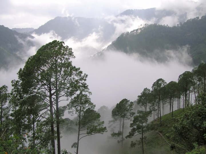 नैनिताल (उत्तराखंड): नैनितालचं निसर्ग सौंदर्य जग प्रसिद्ध आहे. या सौंदर्यामध्ये पावसाळ्यात अजूनच भर पडते. येथील हिल स्टेशन ट्रेकिंगसाठी प्रसिद्ध आहेत. ( फोटो सौजन्यः विकिपीडिया)