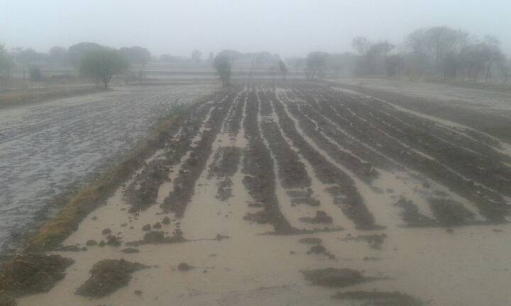 या पावसामुळे शेतकऱ्यांमध्ये उत्साहाचं वातावरण आहे. बळीराजाने खरिप हंगामाची तयारी सुरु केली आहे.