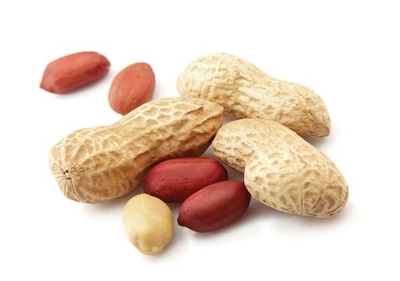 know these interesting facts about peanuts, know in details Peanut Benefits: চিনেবাদাম কি আদৌ বাদাম? চিনেবাদাম সম্পর্কে এই তথ্যগুলো আগে জানতেন না