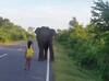 VIDEO: बलाढ्य हत्तीला चिमुकलीने पळवलं