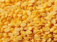 तूरडाळीची लागवड करणाऱ्यांना हेक्टरी अनुदान देण्याचा विचार