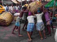 ‘एमपीएससी’कडून हमालांचीही परीक्षा, पदवीधरांच्या उड्या