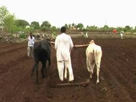 Farmers Do Not Hurry For Kharip Says Cm शेतकऱ्यांनी खरीपाच्या पेरणीची घाई करू नये - मुख्यमंत्री