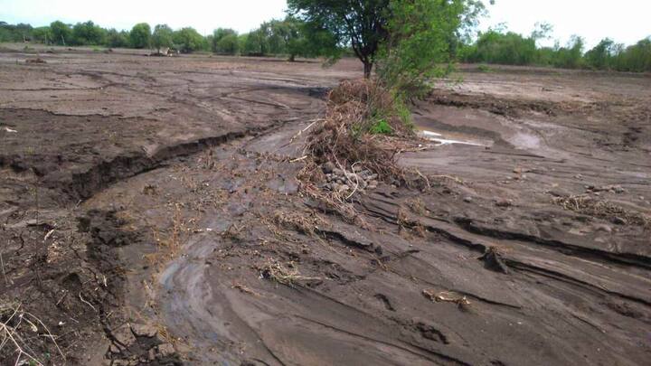 ठेकेदाराच्या हलगर्जीपणामुळे जलयुक्त शिवार योजनेतील बंधारा पहिल्याच पावसात फुटून तब्बल 250 एकर शेतीचं नुकसान झालं आहे.