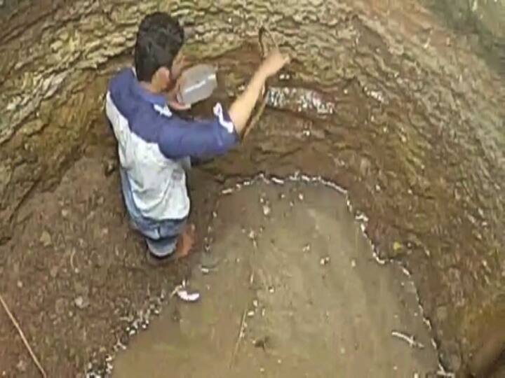 मराठवाड्यात जवळपास 4 वर्षांनंतर मनसोक्त पाऊस झाला आहे. गेली 3 वर्ष सततचा दुष्काळ आणि पाणीटंचाई, त्यामुळे प्रत्येक सजीवाला इथे मरगळ आली होती. पण आता दुष्काळात खोलवर दडी मारुन बसलेले अनेक जीव बिळातून बाहेर पडले आहेत. 