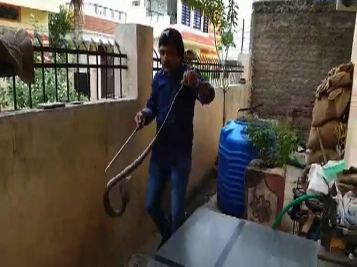 आपल्या घराशेजारचा कचरा, रिकामी पिंप, टायर ही पावसाळ्यात साप येण्याची हक्काची ठिकाणं असतात. अन्नाच्या शोधात साप पावसाळ्यात सहज घरात शिरतात, असं सर्पमित्रांचं म्हणणं आहे. त्यामुळं आवश्यक ती खबरदारी घेणं गरजेचं आहे. 