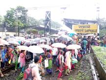 रुळावर झाड पडल्याने विरार-डहाणू रेल्वे सेवा ठप्प