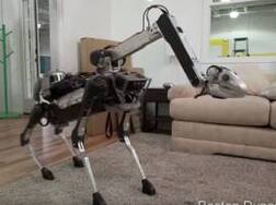 VIDEO: रोबो - किचनमधील काम ते बॉर्डरवरील शिपाई