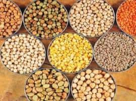 Nccf Will Sell Chana Dal At 60 Rupees Kg In Delhi हरभरा दाळ 60 रुपये प्रति किलो दराने