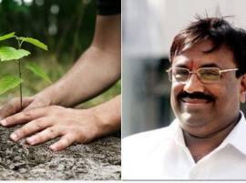 वृक्षारोपणाला उत्तम प्रतिसाद, 75 लाख झाडांची लागवड