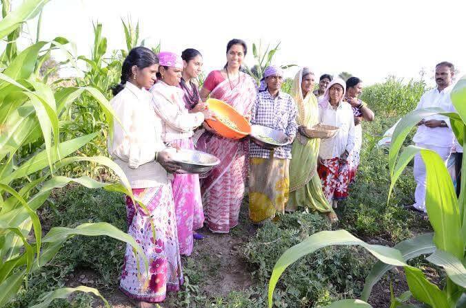 खासदार सुप्रिया सुळे