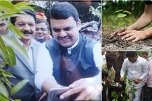 राज्यभरात विरोधी पक्ष नेत्यांसह मंत्र्यांचं वृक्षारोपण