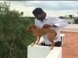 Man Throwing Dog From Rooftop Police Say Hes Mbbs Student कुत्र्याला गच्चीवरुन फेकणारे एमबीबीएस विद्यार्थी परागंदा