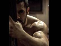 सुलतानच्या सिक्वेलच्या चर्चेवर दिग्दर्शकाचं स्पष्टीकरण