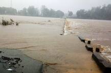 गडचिरोलीत दुर्घटना, प्रवासी नाव बुडाली, काही जण बेपत्ता असल्याची माहिती