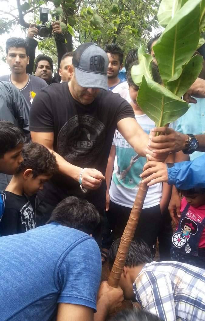 महाराष्ट्र शासन सध्या वृक्षारोपण सप्ताह साजरा करत आहे.