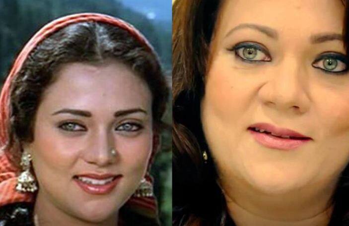 अभिनेत्री मंदाकिनी 