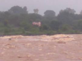 Six Young Men Stuck On The Island In Nashik Rescue Work Continues नाशकात पालखेड धरण क्षेत्रात अडकलेल्या 6 जणांची सुटका